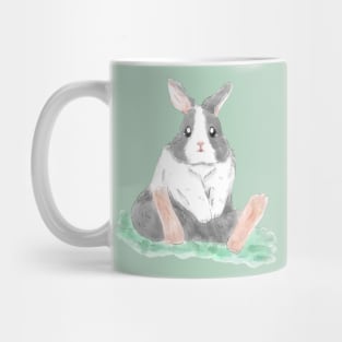 Dutch Bunny in the Park Mug